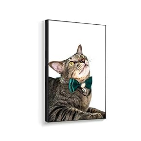 Framed Canvas Wall Art for Living Room, Bedroom Humorous Cat Canvas Prints for Home Decoration Ready to Hanging - 16x24 inches