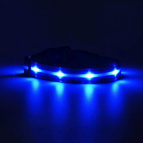 MASBRILL LED Dog Collar Light Blue Safety Led Light Up Dog Collar with 100% Waterproof & USB Rechargeable