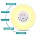 INLIFE Wake Up Light Alarm Clock Sunrise Simulation Dusk Fading Night Light with Nature Sounds, FM Radio, Touch Control and USB Charger