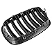 uxcell 2pcs Matte Black Front Hood Kidney Grille Grill for 07-13 BMW E70 X5 E71 X6 4D