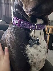 YUDOTE Durable Dog Collar with Maple Leaves