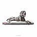 BRINDLE Khaki Shredded Memory Foam Pet Bed - Pet Essentials - Orthopedic Design - Pet Crate Compatible - Machine Washable Cover - Indoor Pet Bed for Dogs, Puppies, Cats, and Rabbits - Size Extra Large