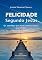 Livro Felicidade segundo Jesus: Os sentidos das bem-aventuranças para hoje (Palavra de Vida)