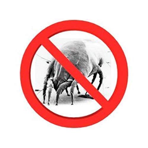 Mitesil 10 Sulfur Cream Relief From Mites On Humans Skin, Bed Bugs, Flea Bites, Tea Tree Oil