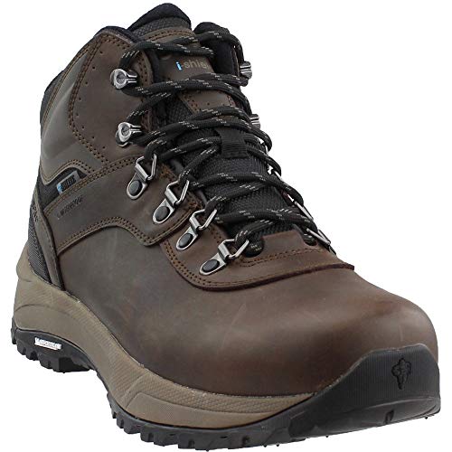 Hi-Tec Mens Altitude VI I Waterproof Wide Hiking Boot, Adult, Dark Chocolate, 8 Wide