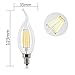 FadimiKoo S14 LED Bulbs 2W 2700K Warm White E26 Base Edison Outdoor String Light Bulb 25 Pack