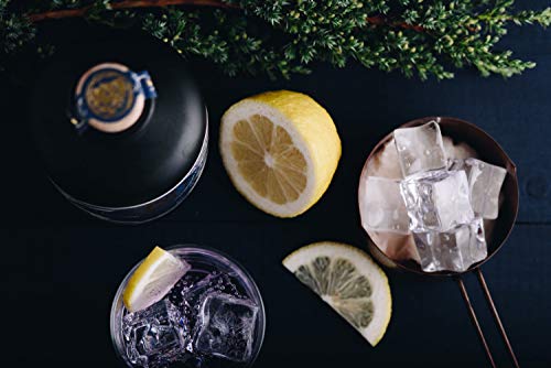 Sjörd Gin | Farbwechsel Premium Gin aus Berlin | 37,5% alc. vol. | 500ml | by Skadi – Bild 4