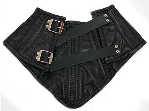 BDStyle Womens BDSM Neck Corset Leather Perfect to Aid in Posture Play A Faux Leather Bondage Accessory