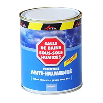 Arcadamp Damp Proof Paint Eliminates Damp In Bathrooms And Basements Cures And Prevents Dampness White 0 75l Cover Up To 3m