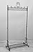 NEUN WELTEN Chic Garment Rack Metal Hanging Clothes Clothing Racks Stand with Bottom Shelf for Shoes (Black)