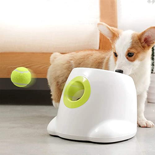 automatic dog toy thrower