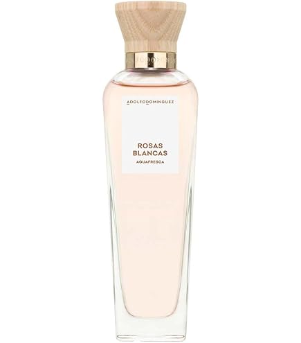 並行輸入品 アドルフォ ドミンゲス アグアフレスカ デ ロサス EDT・SP