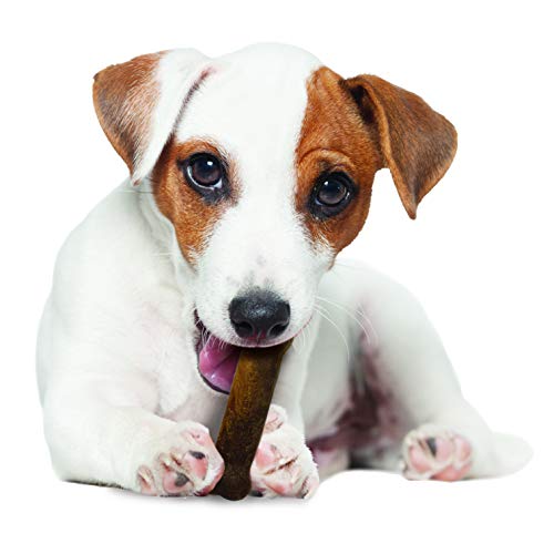 Nylabone Bacon Dog Treats - Image 5