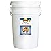 Augason Farms Buttermilk Pancake Mix Emergency Food Storage 28 Pound Pail