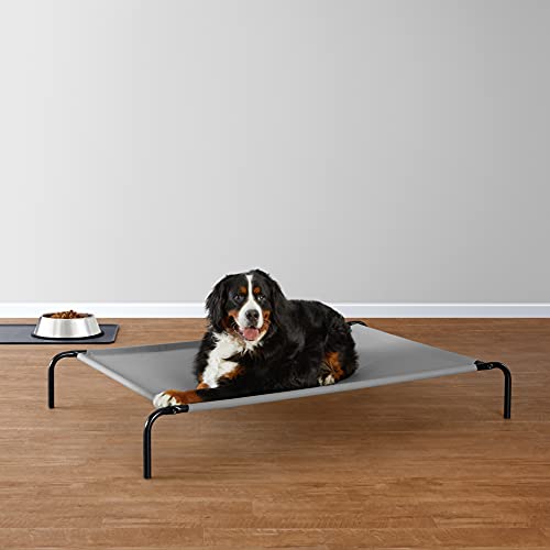 AmazonBasics Elevated Cooling Pet Bed, XL, Grey Vlog Bharat
