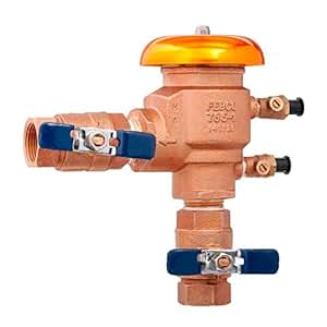 Febco 1 in. NPT Bronze Pressure Vacuum Breaker - - Amazon.com