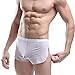 HP95(TM Men's Bikini Underwear, Sexy Boxer Shorts Briefs Trunks Style Underpants (XL, White)