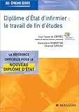 DiplÃ´me d'Ã©tat d'infirmier : Le travail de fin d'Ã©tudes (TFE) by 