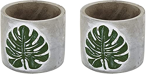 Napco 21981 Leaf Emblem Planter/Cache Pot, Concrete (2)