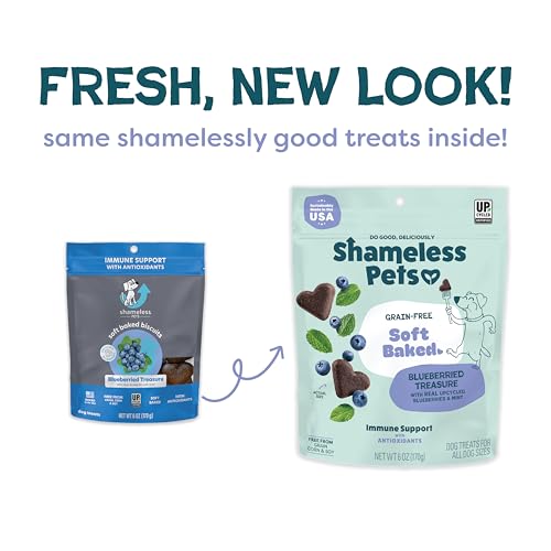 SHAMELESS PETS SOFT-BAKED DOG TREATS, BLUEBERRIED TREASURE – NATURAL & HEALTHY DOG CHEWS WITH MINT FOR IMMUNE SUPPORT – MADE IN USA, FREE FROM GRAIN, CORN & SOY – 1-PACK