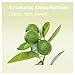 doTERRA Lime Essential Oil 15 ml