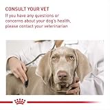 Royal Canin Digestive Care Adult Wet Dog Food 85g Pack of 48 view 9