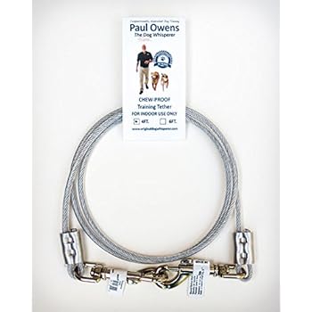 Paul Owens, The Original Dog Whisperer 4 Ft. Chew-Proof Training Tether for Dogs & Puppies