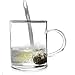 Primula Glass Mug with Loose Tea Infuser, 12-Ounce