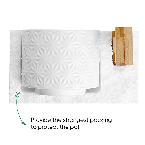 Greenaholics Medium Plant Pot - 5.5 Inch Cylinder White Ceramic Planter with Arched Bamboo Stand, for Small Herb, Snake Plant Seedling