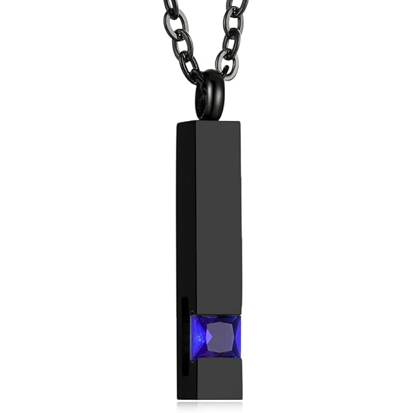 INBLUE Collar Urna Personalizado Para Cenizas, Corazón De Acero Inoxidable Colgante, Grabado Foto Perro Gato Nombre, Cremación Joyería Mujeres Hombres Con Juego De Embudo, Alas De Ángel