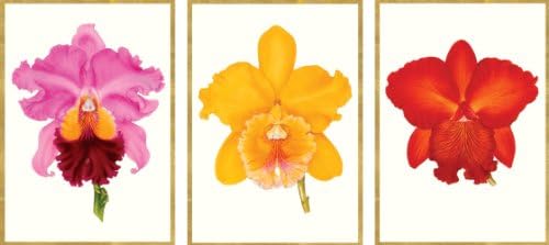 Entertaining with Caspari Royal Horticultural Society Orchids Blank Notecards, Set of 8