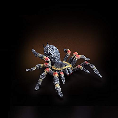 Prbll Ornamente Spielen Sie Mule Insekten Tiermodell Schwarze