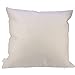 HOSL You Are My Sunshine Cotton Linen Pillow Cover, 17.3 x 17.3-Inch