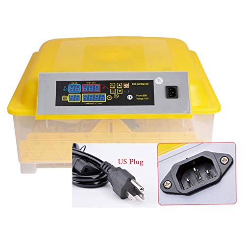 OppsDecor Egg Incubator, 48 Eggs Digital Incubator with ...