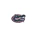 Tervis Made in USA Double Walled University of Florida Gators Insulated Tumbler Cup Keeps Drinks Cold & Hot, 16oz, Gator
