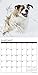 Just Saint Bernards 2018 Calendar