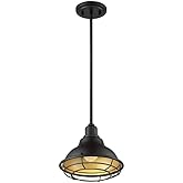 Nuvo Newbridge-1 Light Small Pendant in Farmhouse Style-9.75 Inches Wide by 8.25 Inches High-Dark Bronze/Gold Finish