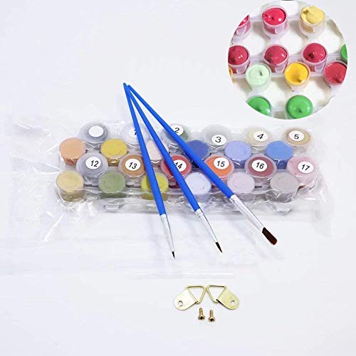 Paint by Numbers Kits with Brushes and Acrylic Pigment DIY Canvas Painting for Adults Beginner