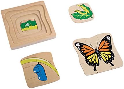 Montessori Puzzle Life Cycle of Butterfly