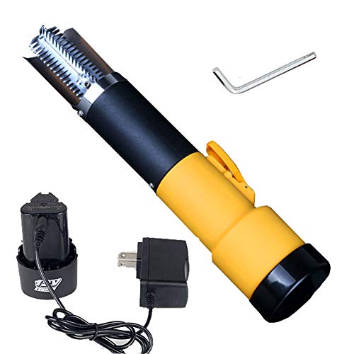 Top 10 Fish Scalers of 2020 No Place Called Home