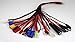Apex RC Products 18-in-1 Banana Plug Squid Charger Adapter Lead Cord w/ 18 Different Connectors 1474