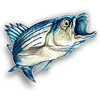 Magnet Striped Bass Fish Magnetic vinyl bumper sticker sticks to any metal fridge, car, signs 5