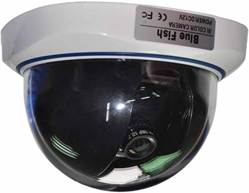 BlueFishCam Wide Angle lens 2.8mm Dome CCTV Camera CMOS 1000TVL With IR Filter Color Daytime Vision Security Camera Home monitor