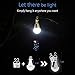 Flyhoom Portable LED Bulb Lights Indoor Rechargeable LED Bulb Lamp for Camping Tent Light Bulb, Coolwhite