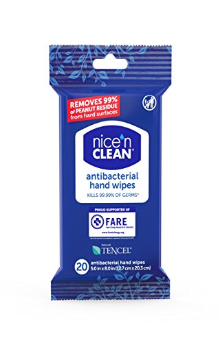 Nice 'n CLEAN Anti-Bacterial Hand Wipes, 20 Count (Pack of 6)