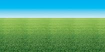 Pacon Fadeless Designs Bulletin Board Art Paper, 4-Feet by 50-Feet, Summer Horizon (56925)