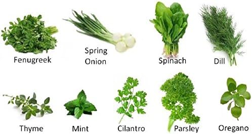 Seedscare Herb Seeds (Pack of avg 40+ each, 8 Packets Each)