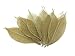 NAVA CHIANGMAI Rubber Tree Leaves - Pack of 100 Skeleton Leaves Decorative DIY Craft , Artificial Leaves Craft Card Scrapbook DIY Handmade Embellishment Decoration Art (Gold)