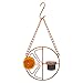 Oriole Wild Bird Feeder, Orange Clementine Design, Steel Bird Feeder With Landing Perches, 2 in 1 Bird Feeder, Orange Fruit Stick Feeder & Glass Nectar/Jelly Container