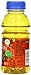 Langers 100% Juice, Apple, 10 Ounce (Pack of 12)